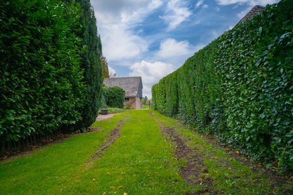 Medium property photo - Koestraat 31, 6988 AA Lathum